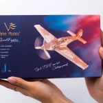Šturmo lėktuvas 3D modelis