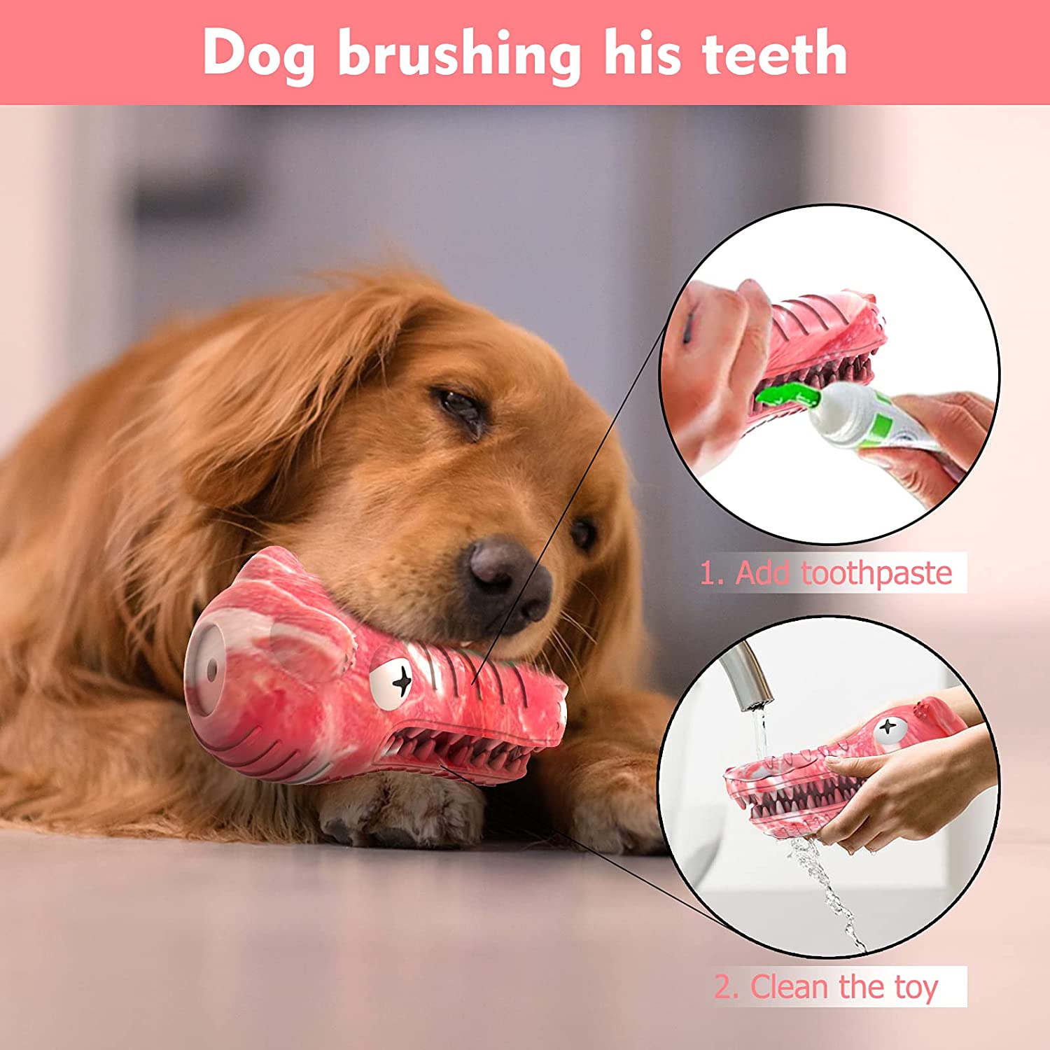 Šunų dantų šepetėlis